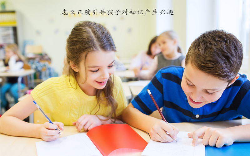 如何看待幼儿教育和小学教育